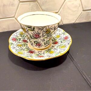 Rosina Vintage Bone China Floral Teacup & Saucer Set Gold Trim #5358 Mint